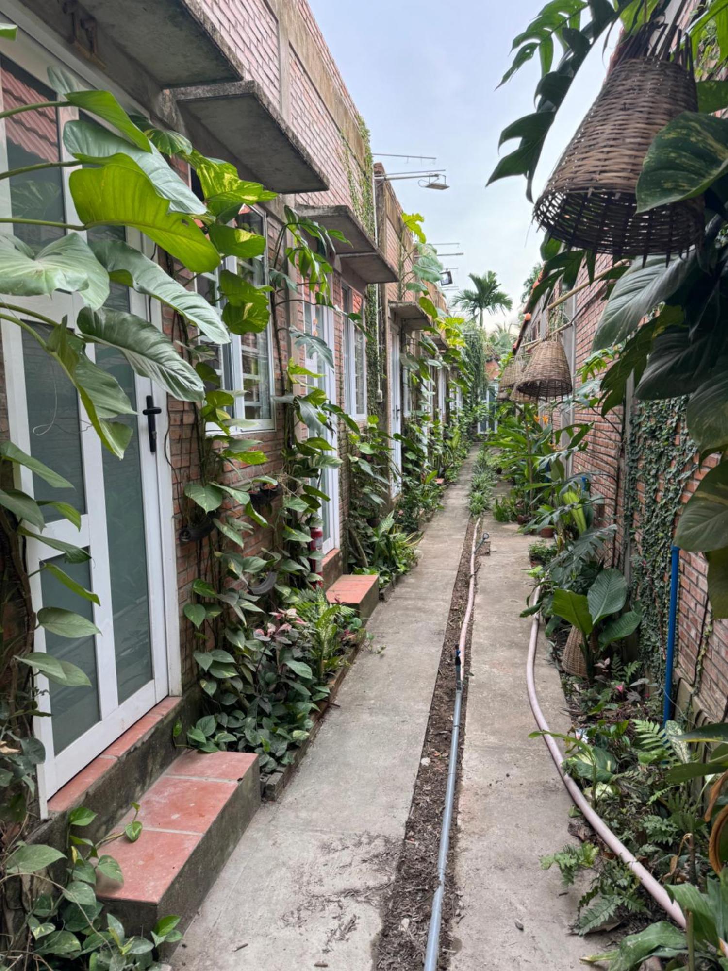 Bau Bi Mini Farmstay Mekong - Tien Giang My Tho Exteriér fotografie